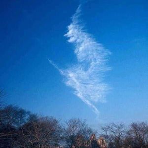 Meet your Posher, Brandi